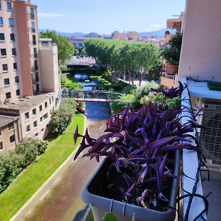 Le Balcon De La Basse Centre Ville De Perpignan Exterior photo