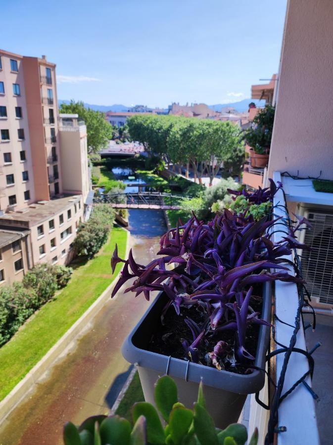 Le Balcon De La Basse Centre De * Perpignan